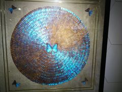 -上海昆虫博物馆