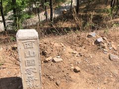 -北京西山国家森林公园