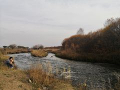-御道口草原森林风景区