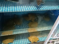 -涿派·炝锅鱼(涿州店)