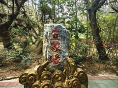 -北海金海湾红树林生态旅游区