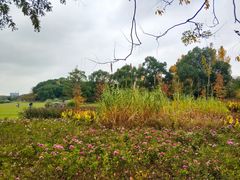 -昆山城市生态森林公园