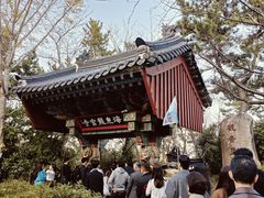 -海东龙宫寺