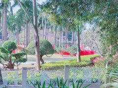 -广州市白云山风景名胜区
