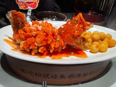 -吴越荣记苏州菜·松鼠桂鱼100%活鱼现做(斜塘老街店)