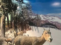 -温州博物馆