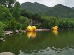 -西安秦岭野生动物园