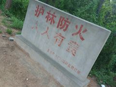-水池山公园