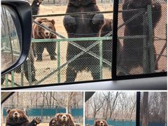 -秦皇岛野生动物园