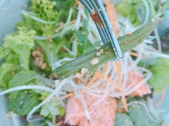 -Wagas沃歌斯(大学路店)