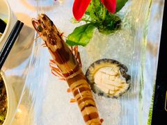 -鲜入围煮花胶鸡海鲜火锅