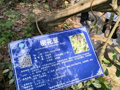 -广西壮族自治区药用植物园