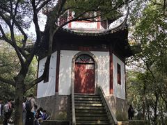 -上海佘山国家森林公园天马山园