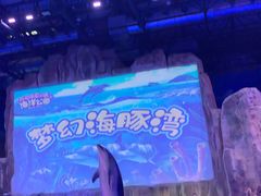 -华夏文旅海洋公园