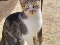 -大可堂普洱茶馆(襄阳南路馆)