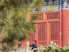 -中国唐苑
