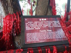 -乌镇西栅景区-月老庙