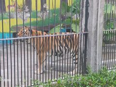 -新疆天山野生动物园