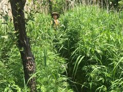 -碓臼峪自然风景区