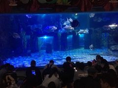 -台州海洋世界