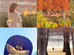 -白鹭湾湿地公园