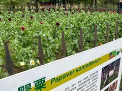 -国家植物园南园