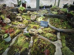 -国家植物园南园