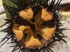 -三月居酒屋(青年大街店)