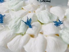 -奶油日报Journal de creme