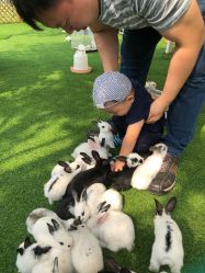 -萌宠亲子动物乐园(槐房万达店)