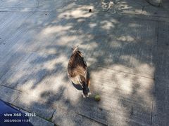 -杭州植物园