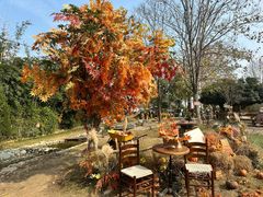 -HERRE·FARM 赫尔露营农场·团建聚会包场