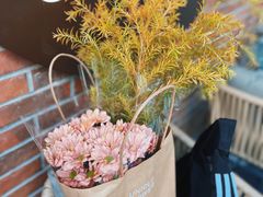 -LES ELITES 英集荟(南京西路店)