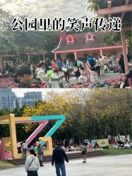 -广州市儿童公园