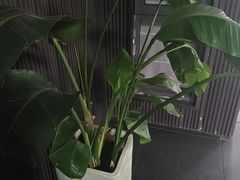 -阿伟海鲜楼·福建菜(涵江店)