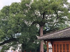 -新安江山水画廊风景区
