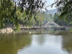 -石家庄市动物园