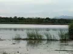 -绿堤公园