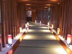 -重庆南山海昌汤都