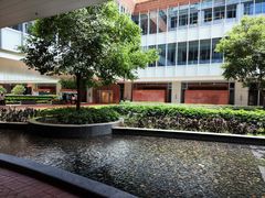 -香港大学