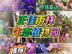 -正佳雨林生态植物园