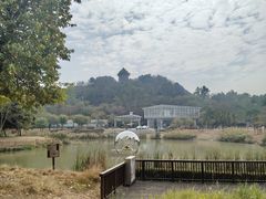 -王借岗森林公园