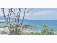 景点-杨梅坑