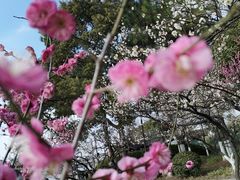 -苏州太湖国家湿地公园