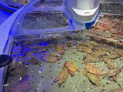 -澜悦港海鲜体验主题餐厅
