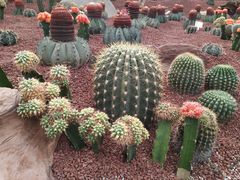 -南通洲际绿博园