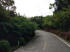 -广州市流溪河国家森林公园