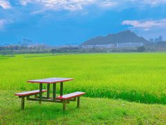 -光明小镇欢乐田园