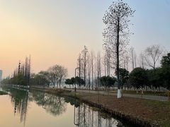 -洋湖国家湿地公园