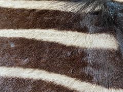 -武汉钻石艺术博物馆